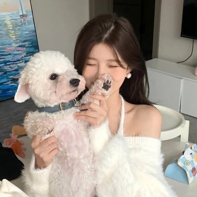 大厨小婿